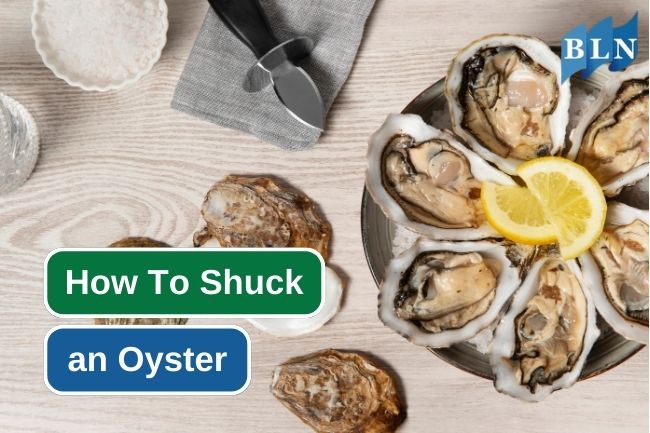 Follow These Steps To Shuck an Oyster Properly